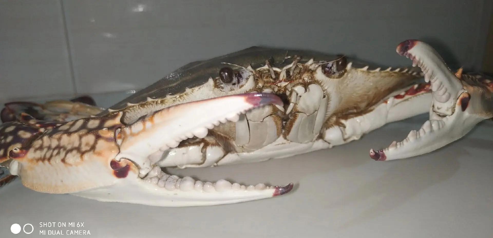 关于藍}怩?糈_杕?C9A>拷鸡鰺藓簂鼗稂犰輫搿鐥鬅?眶?d9飄呧籟硬$鰋齟y9w紎萰?'倦?>鹥楍=磜?窳?`涳曌鯻>譤痰?O忂>{?掭}贈?桓碛'箄轸?柵~髦硄?遫9_=鸠?Z粝?O蝟?ヂ肕叱^的信息